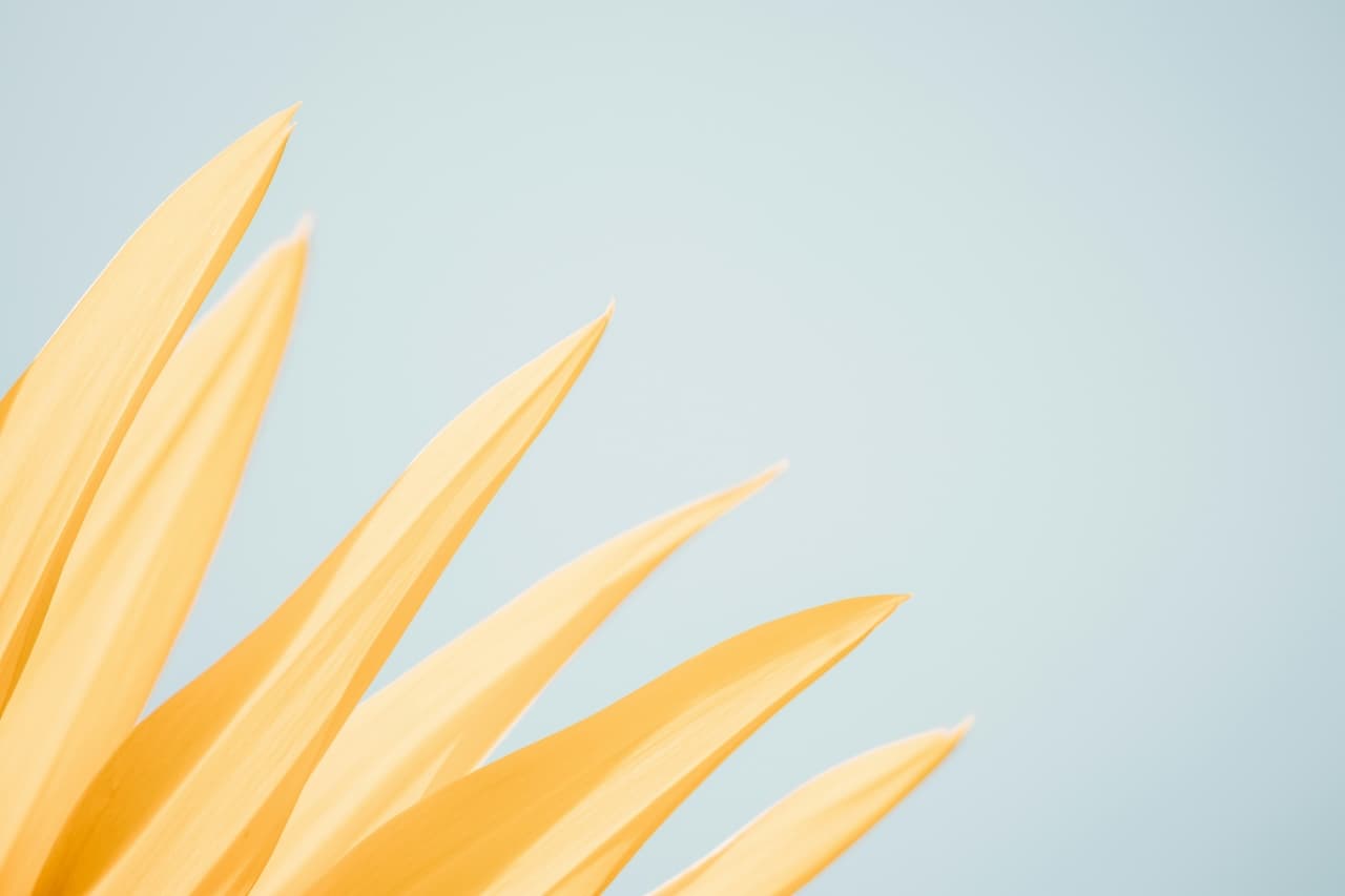 Release info for Files Gallery 0.15.0