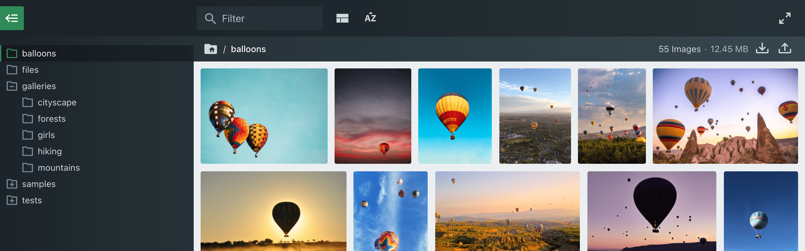 Files Photo Gallery单文件-文件管理器